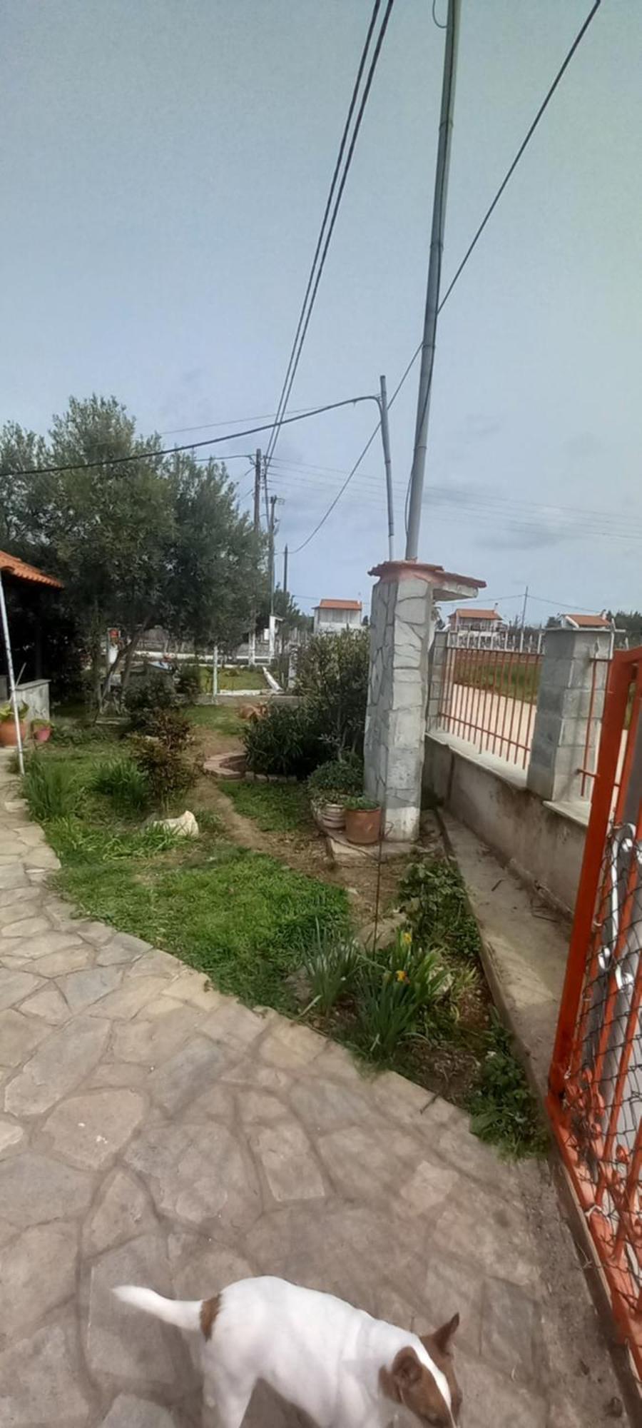 Villa Julia Nea Plagia Exterior foto